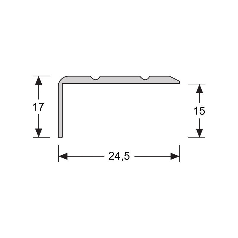 Hoeklijnprofiel 17 mm 1m RVS 69303