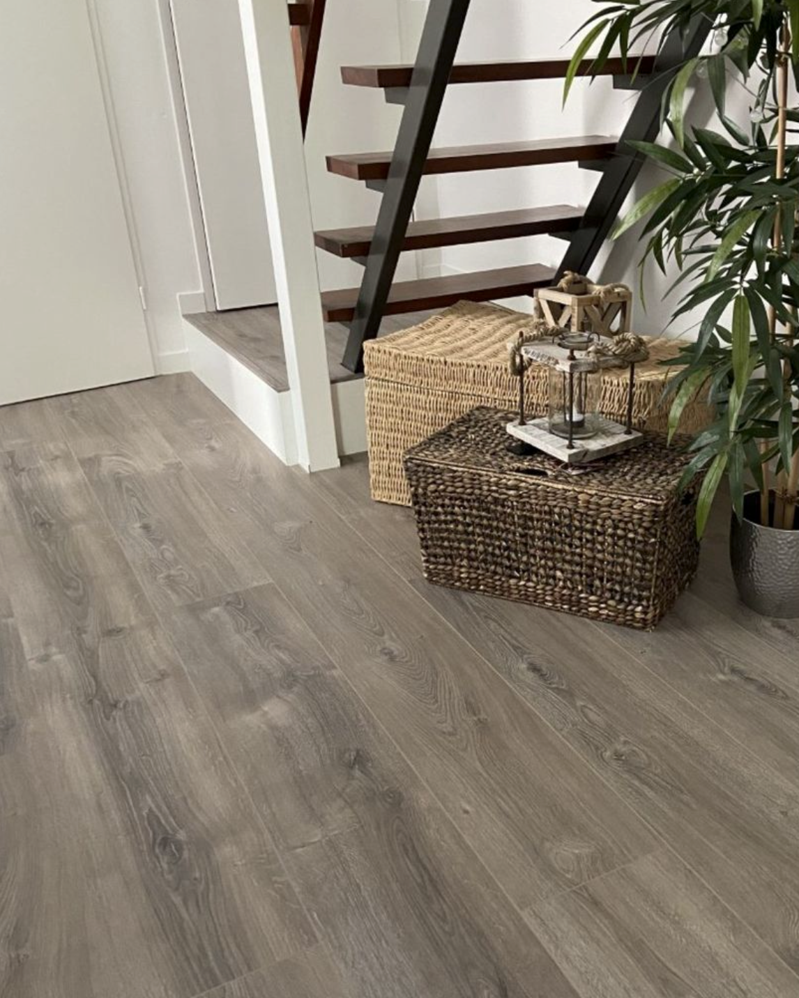 Douwes Dekker Elegant Riante Plank 05067 Lavendel