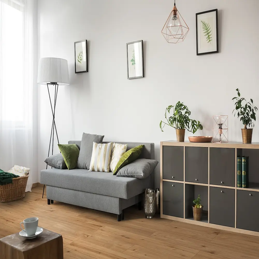 woonkamer, bank, salontafel, kast, planten