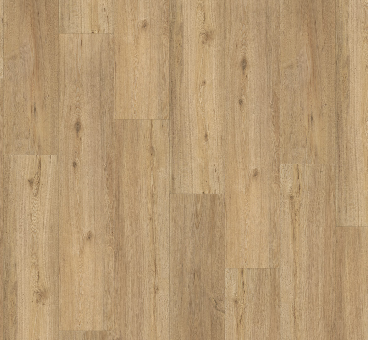 Parador Classic 2025 Eiken Natuur
