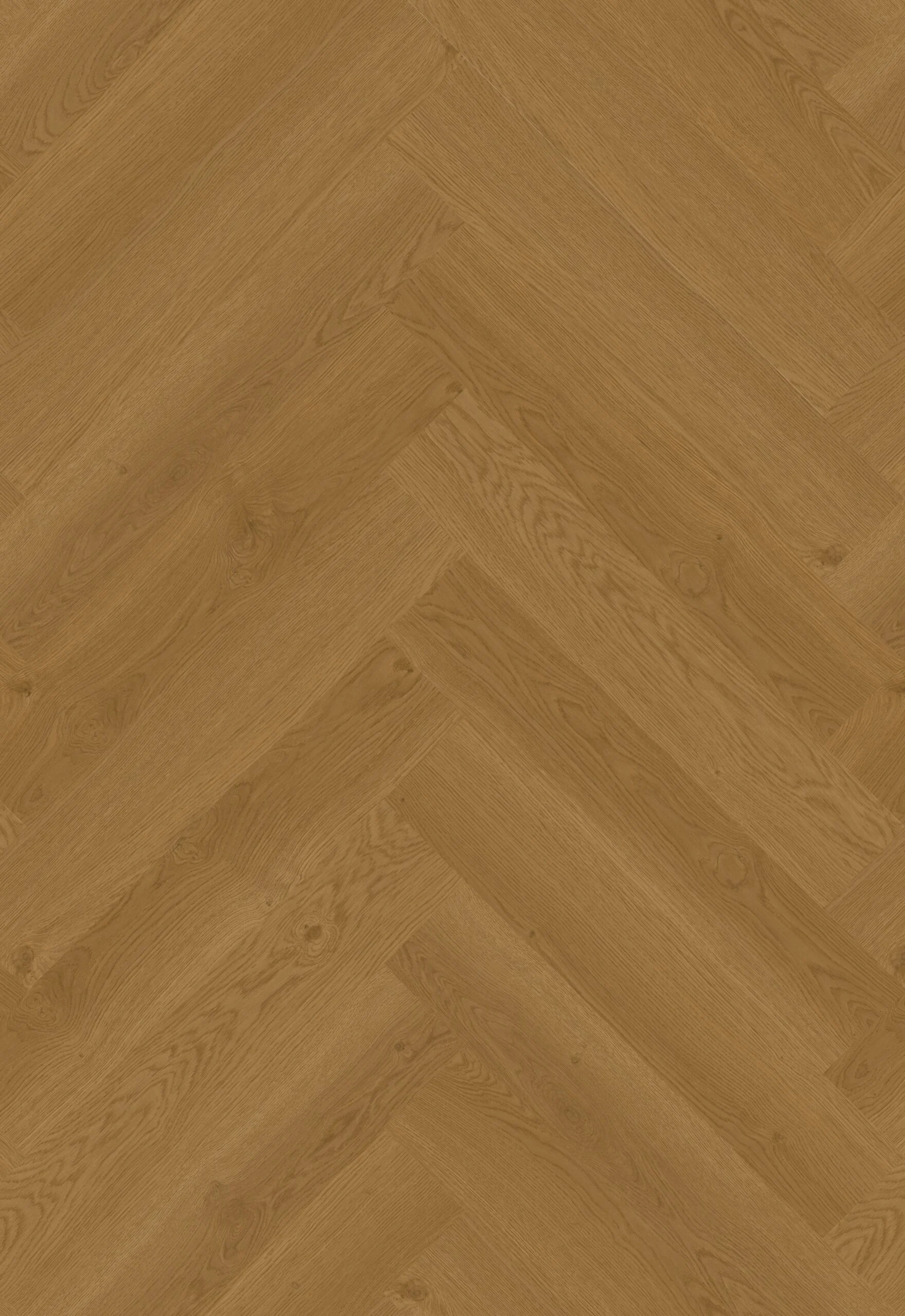 Hoomline Elegance Visgraat Leeuw 51317