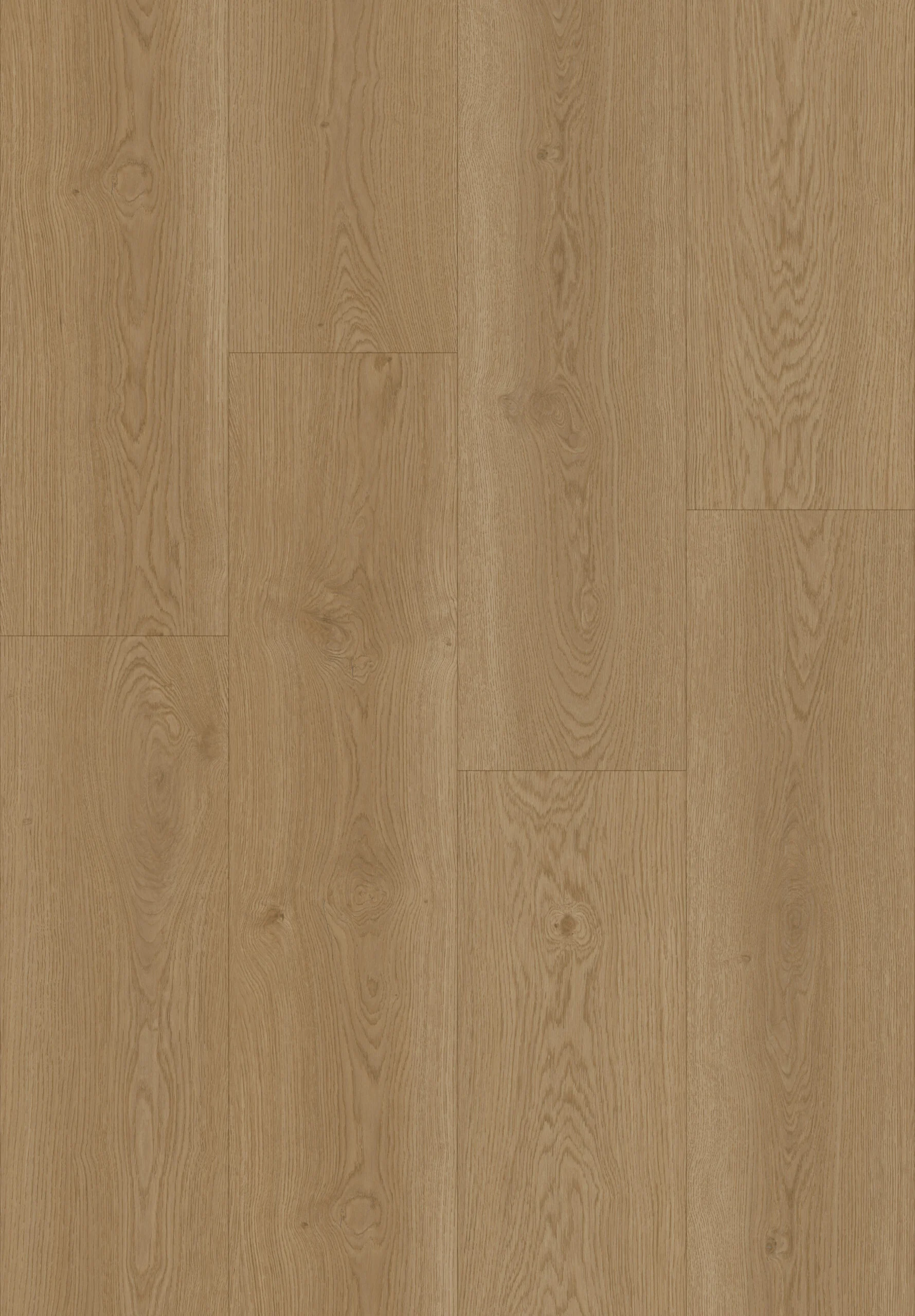 Hoomline Elegance Zwaan 51313 