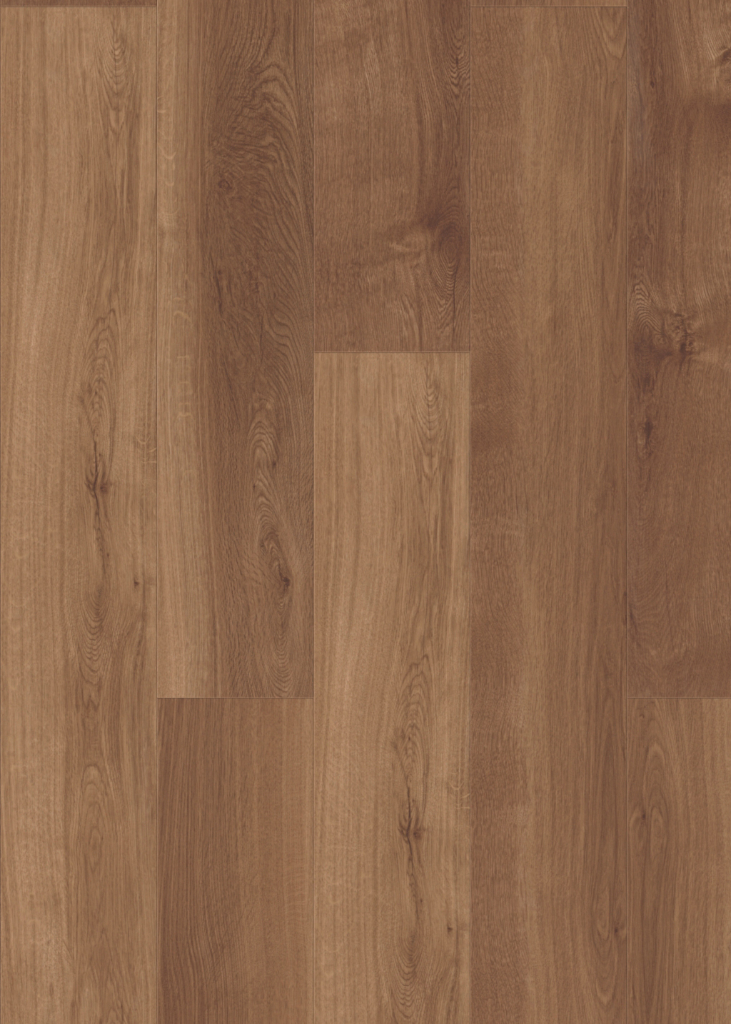 mFLOR Broad Leaf 41813 Dark Sycamore 