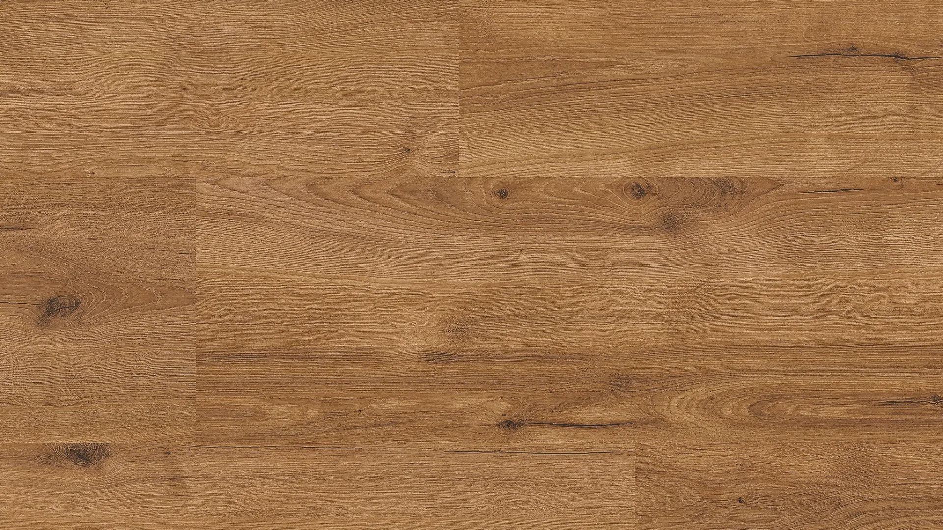 Classen Vito Oak XL 66976