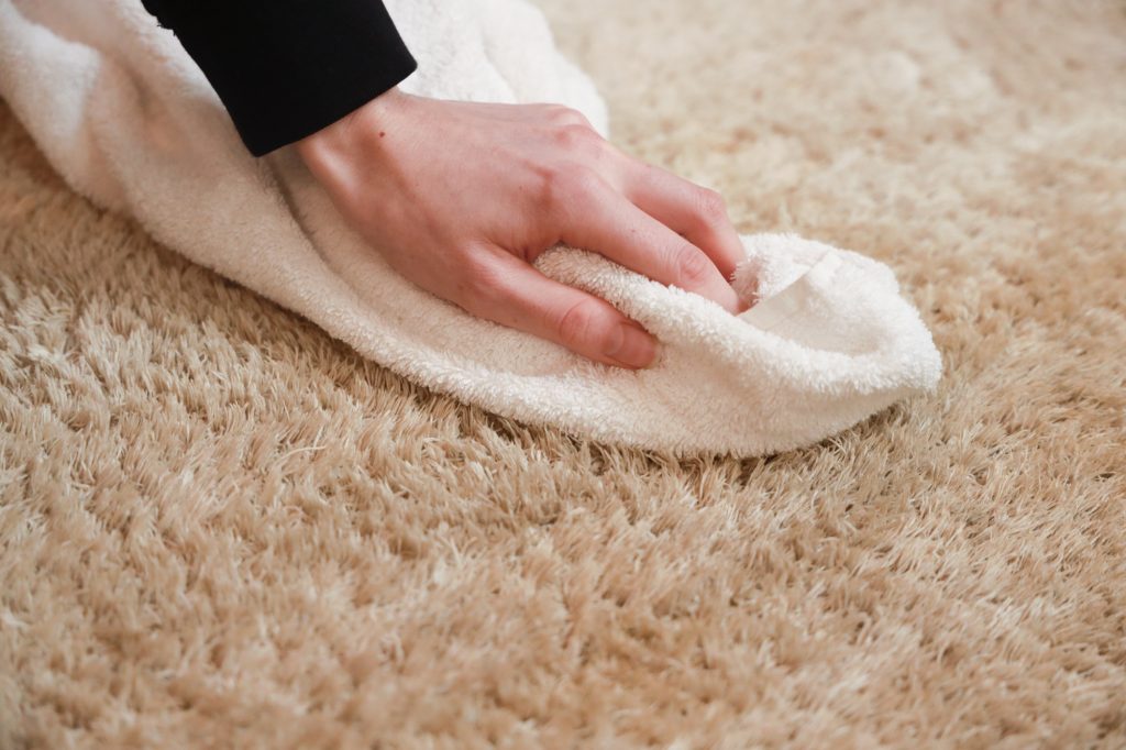 Hoe reinig ik mijn tapijt Luxury Floors