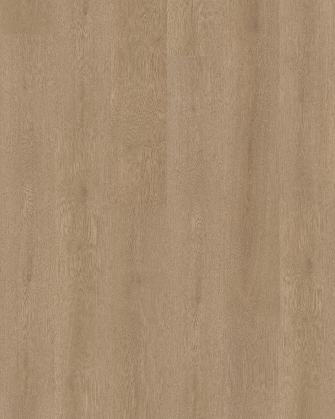 hout, vloer, laminaat, eik, patroon