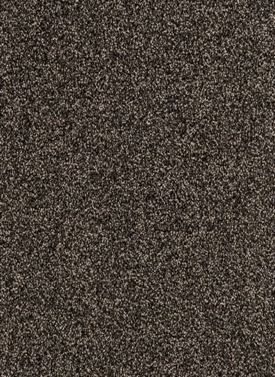 Schoonloopmat Bruin 120 x per 10cm