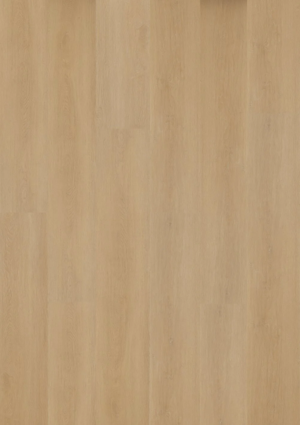 Hoomline Prestige Plank Cannes 5052