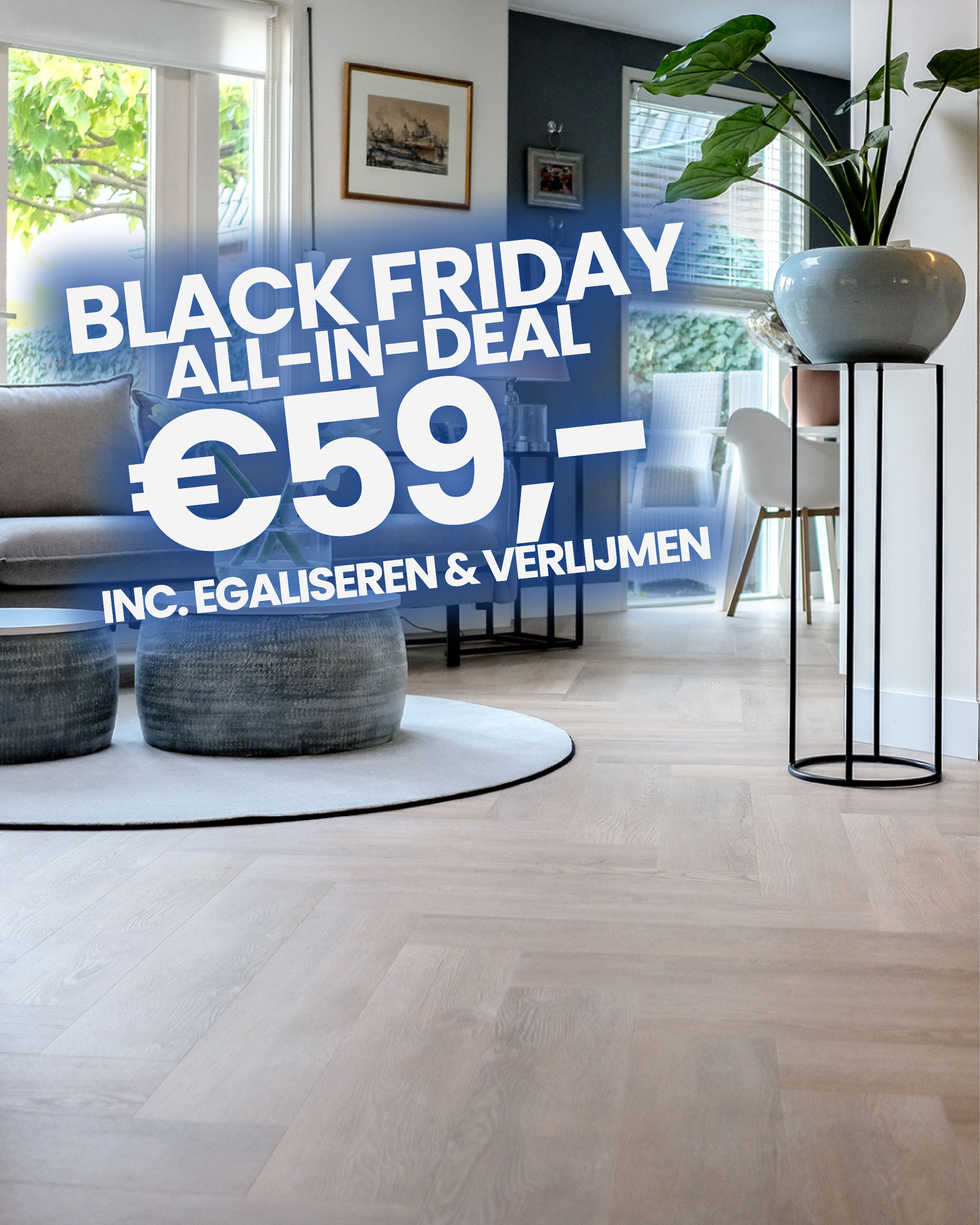 Verdieping, Vloeren, Interieurontwerp, Plant, Potplant