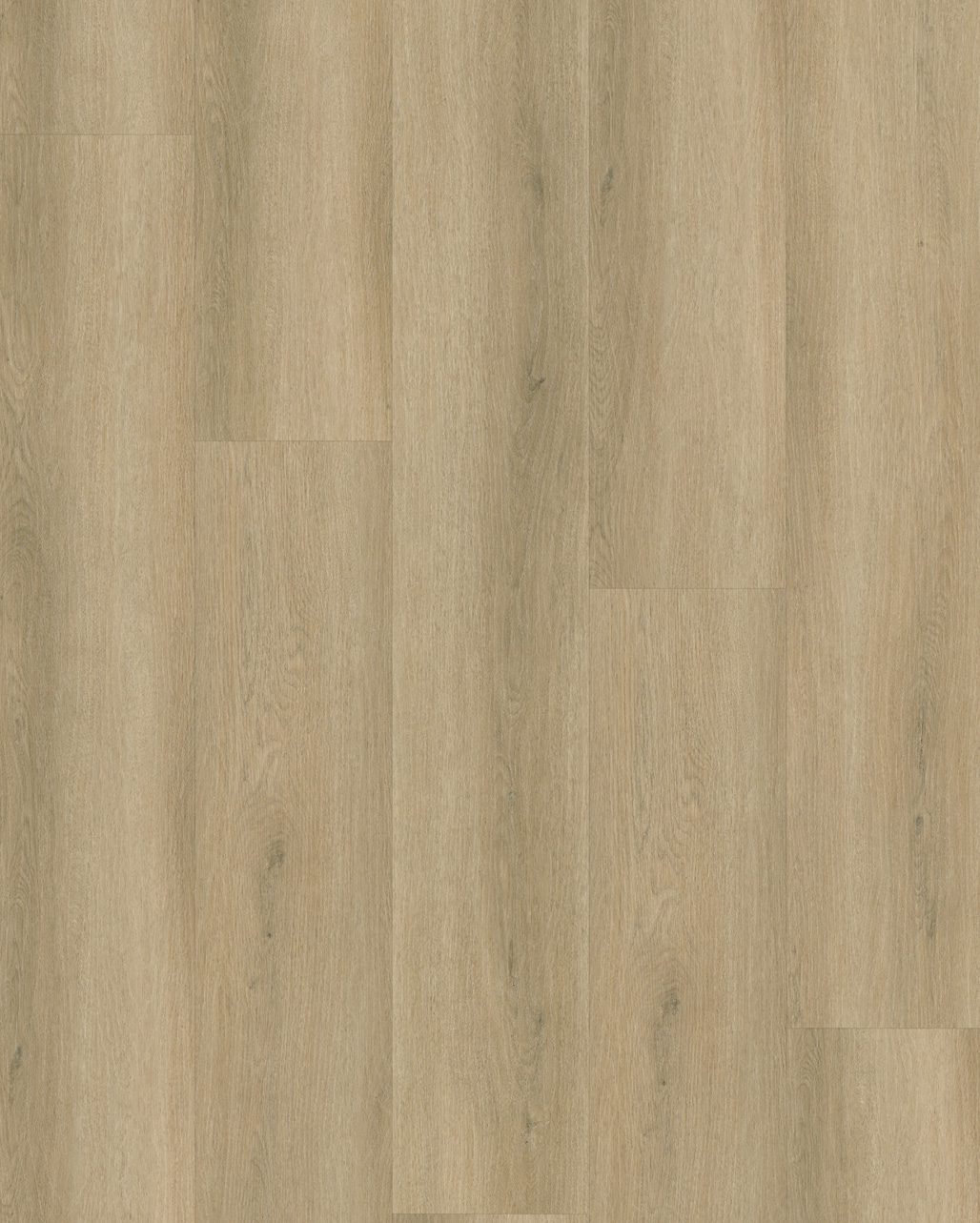 Budget Line Superior Eiken XL 4144 Warna Oak