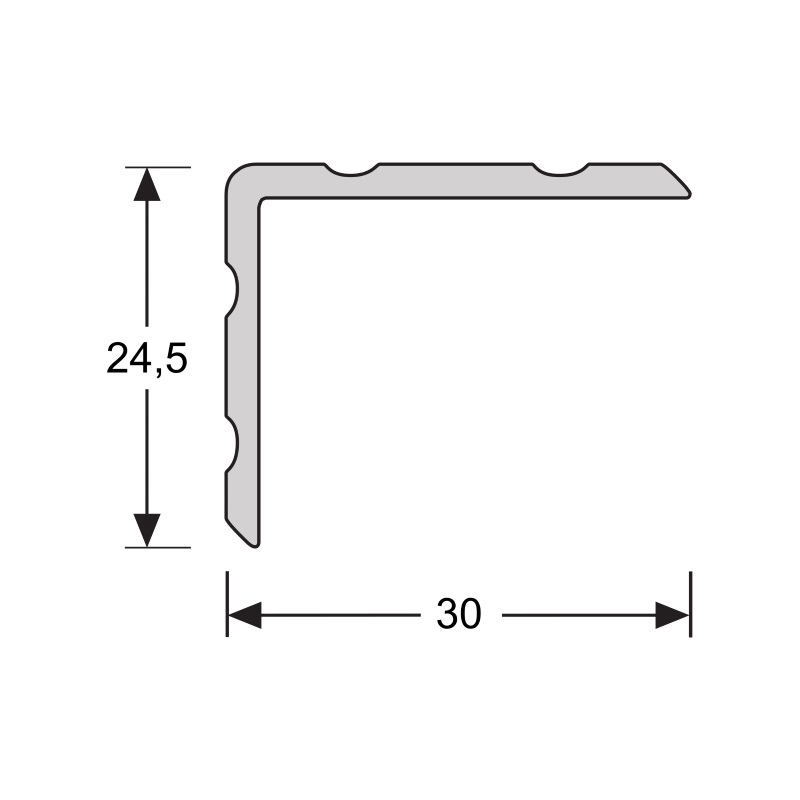 Duo-hoeklijnprofiel 1m Zilver 24,5 x 30 mm 69401