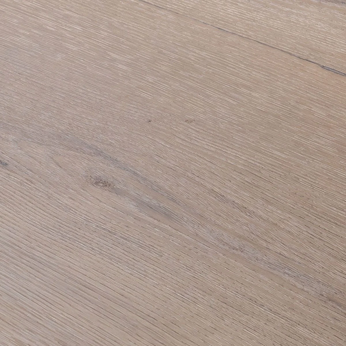 Douwes Dekker Traprenovatie Gemberkoek 4st Douwes Dekker Traprenovatie Gemberkoek 4st