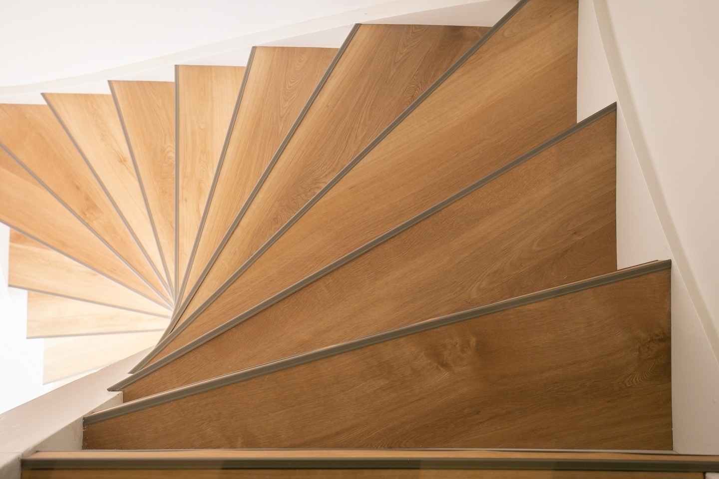 mFLOR Broad Leaf 41822 Pure Sycamore