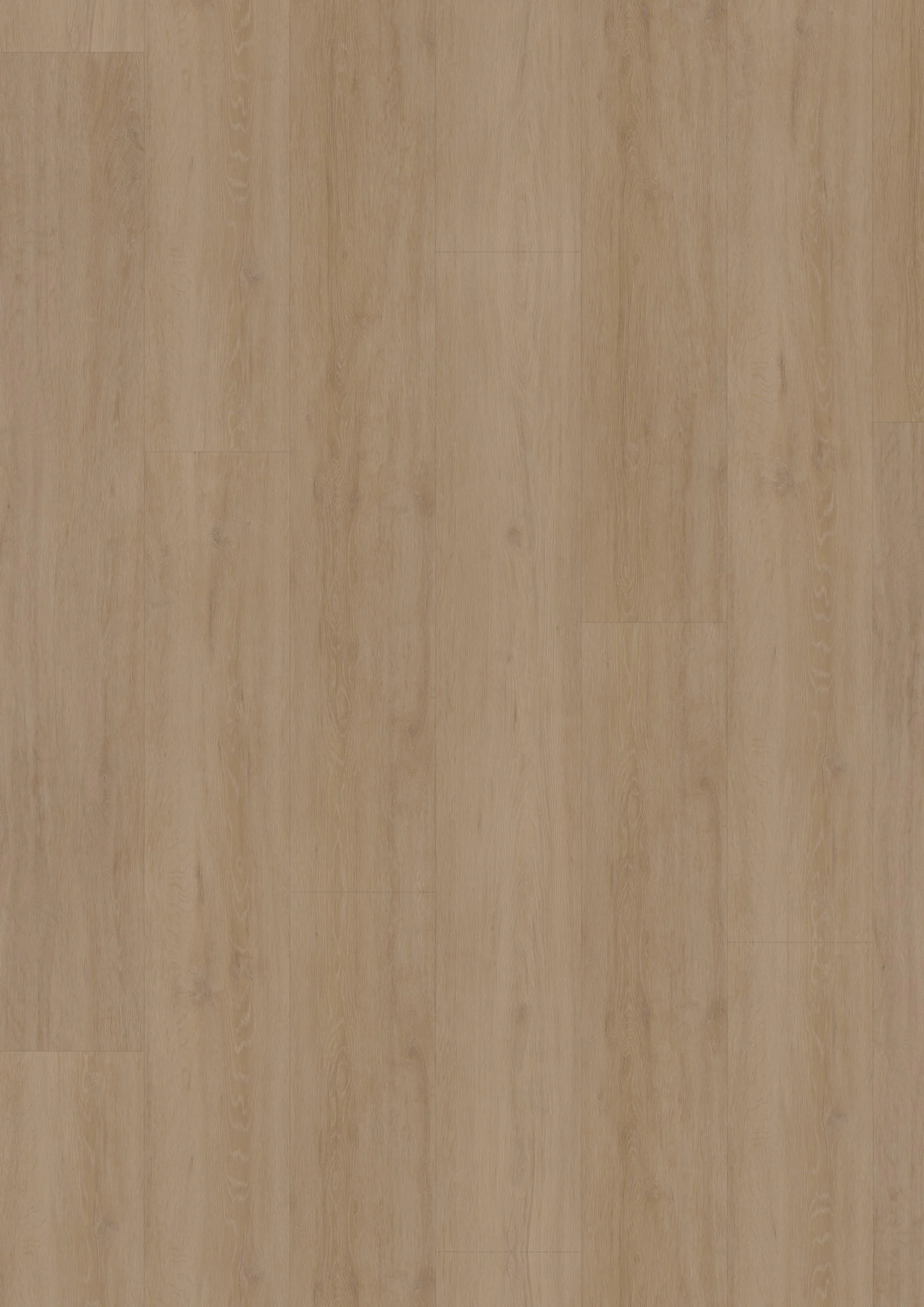 Hoomline Fusion XL 55 Gotham Oak Flax