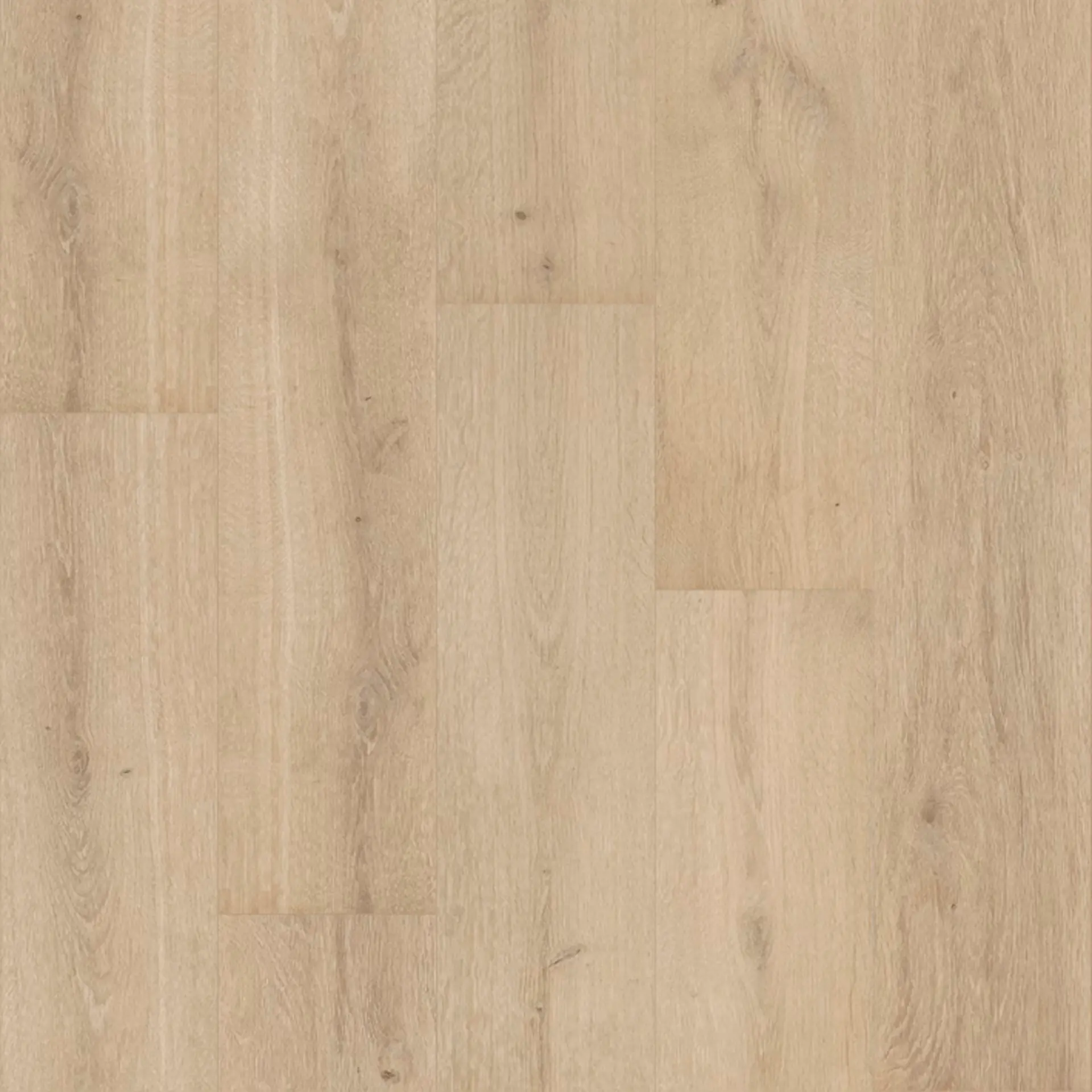 Floorify Plank Crémant F050 Klik PVC