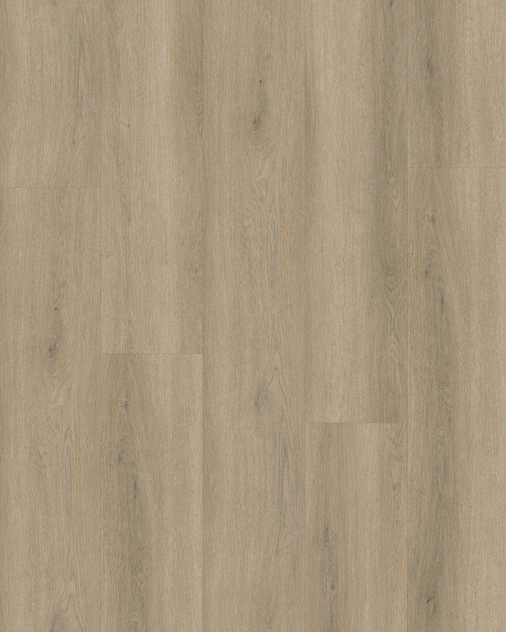 Budget Line Superior Eiken XL 4146 Larisa Oak