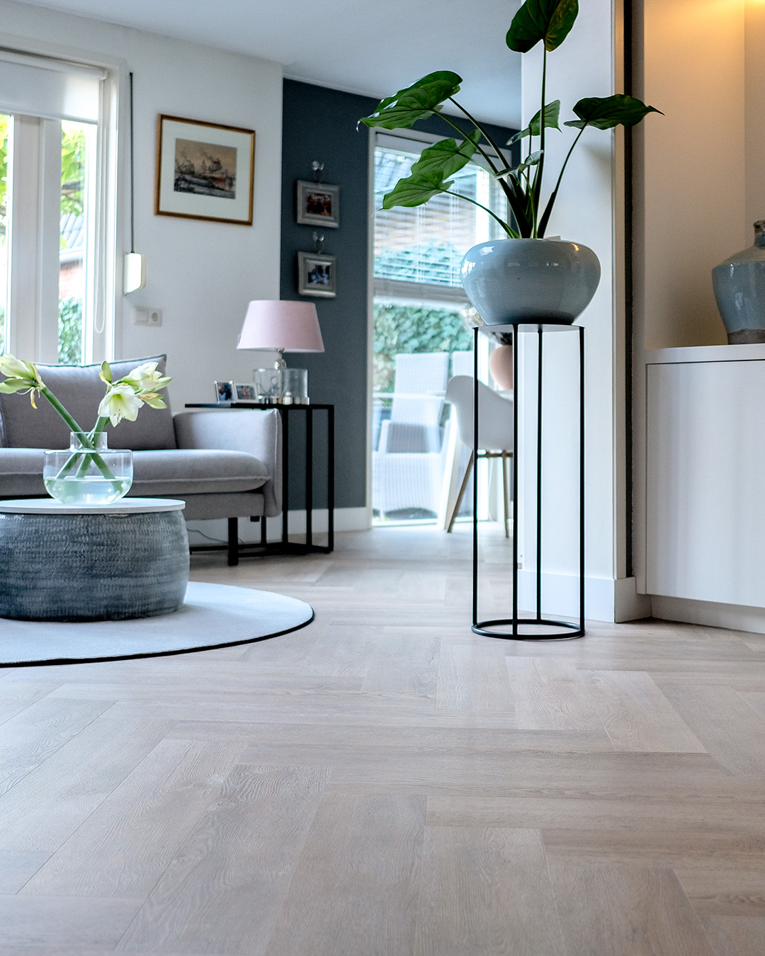 woonkamer, planten, vloerdeel, interieur, plantenspot