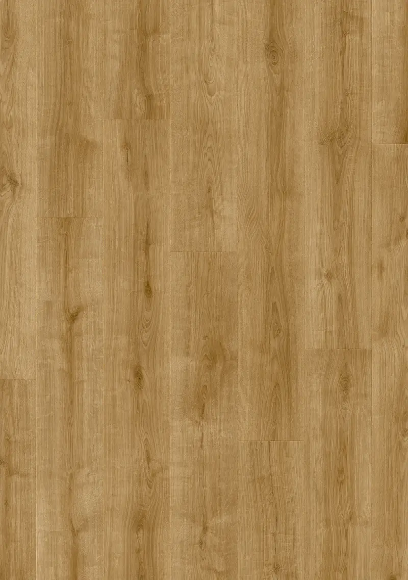 Moduleo LayRed Wistman Oak 63840