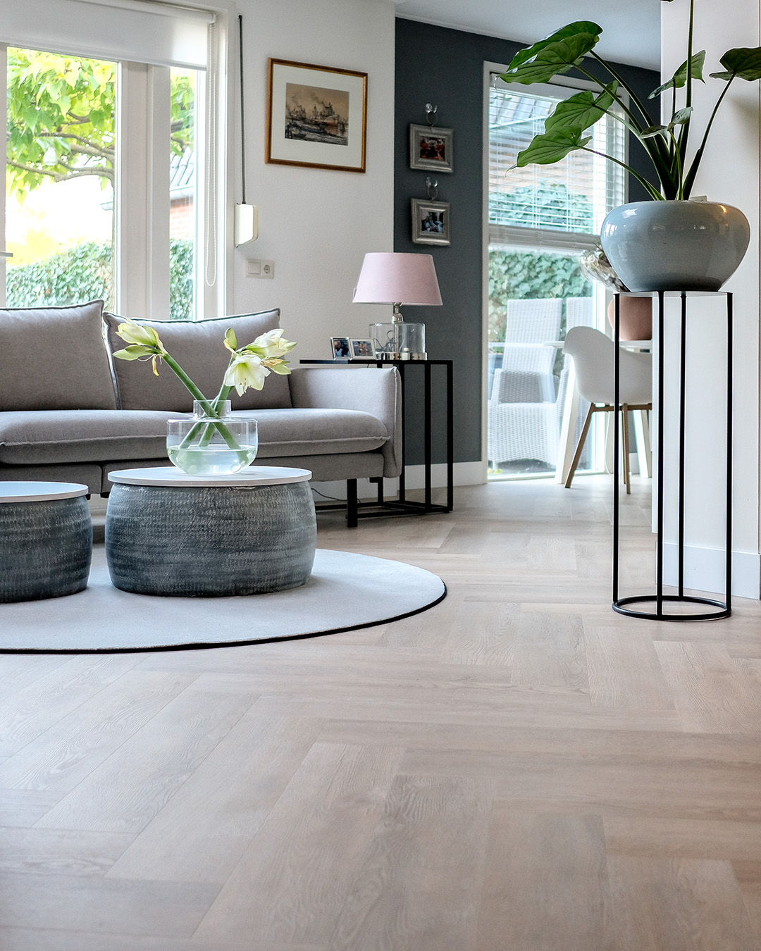 living room, sofa, coffee table, plant, round rug