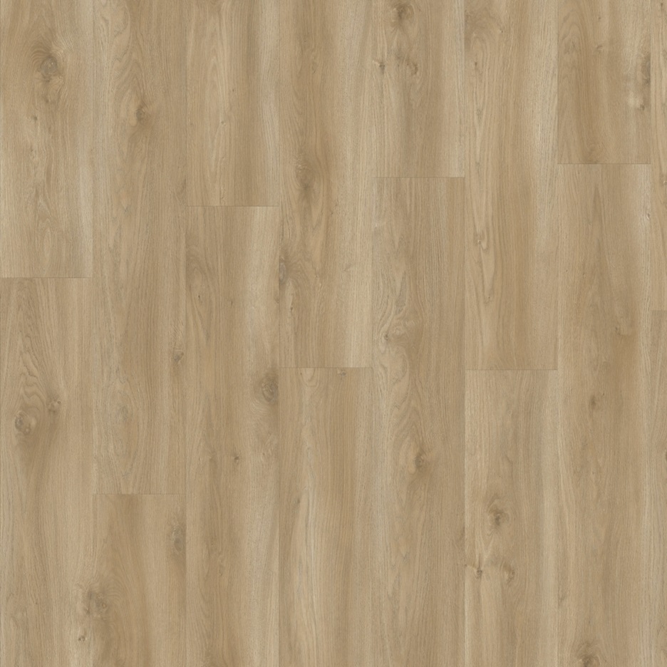 Moduleo LayRed Sierra Oak 58847BM