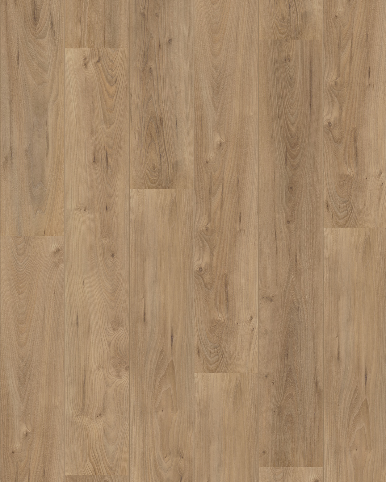 Verdieping, Vloeren, Hout, Hardhout, Interieurontwerp