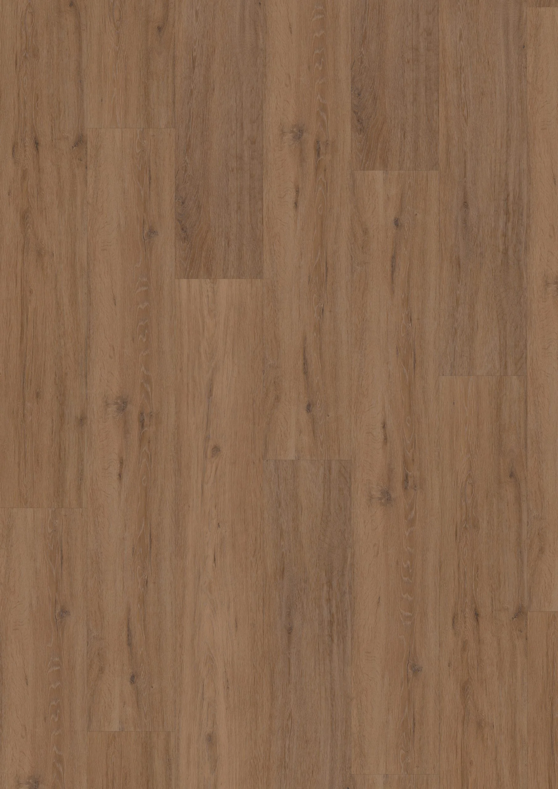 Hoomline Fusion XL 55 Gotham Oak Honey