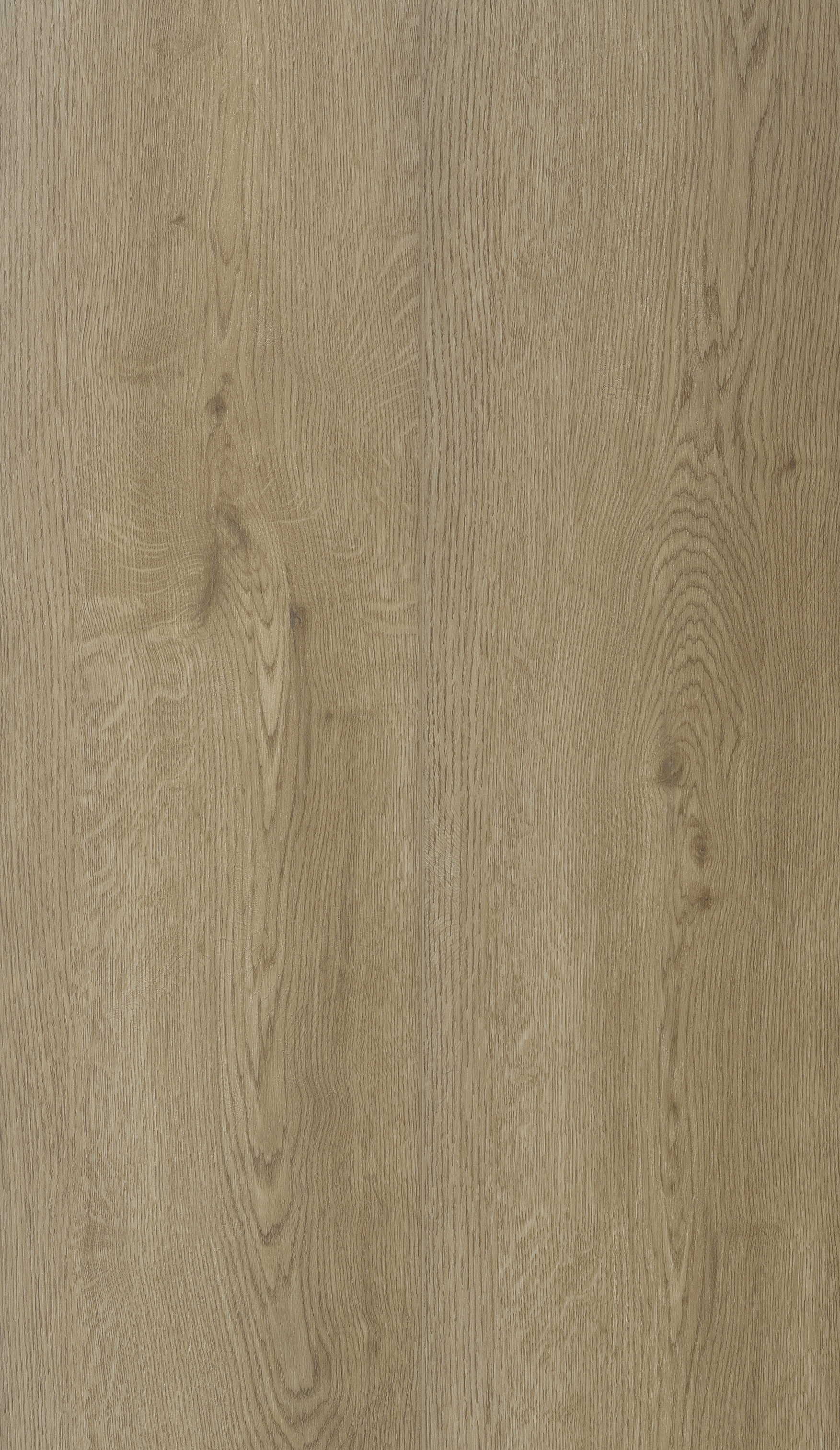 COREtec Essentials 1800+++ Series Munster Oak 53