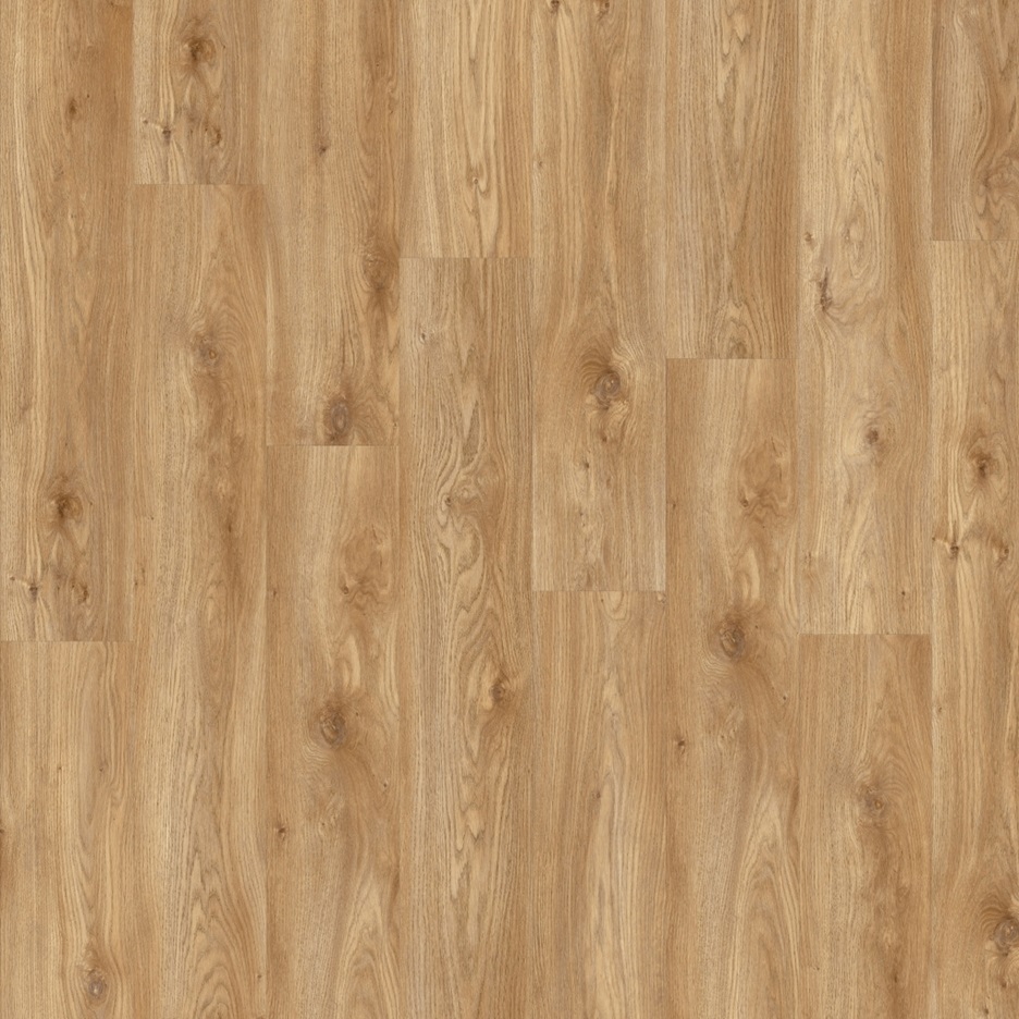 Moduleo Roots Sierra Oak 58346Q