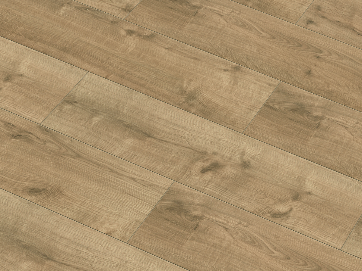 Classen Oak Dark Brown XL  55819