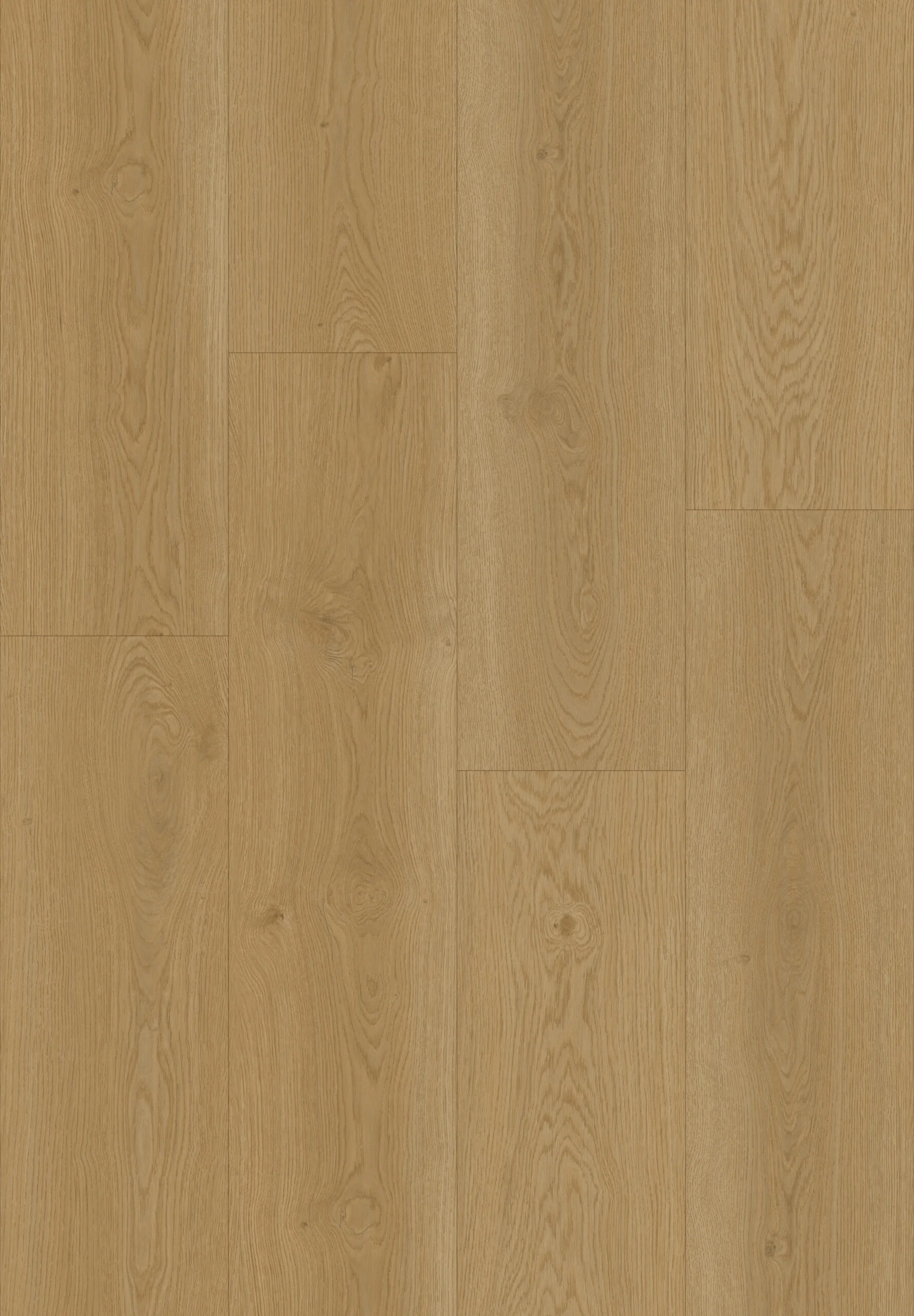 Hoomline Elegance Kraanvogel 51315
