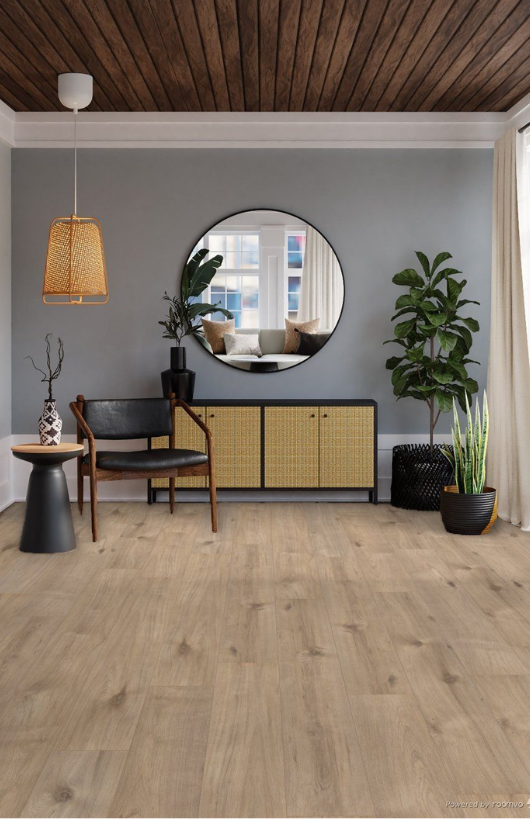 Interieurontwerp, Verdieping, Vloeren, Plant, Lamp