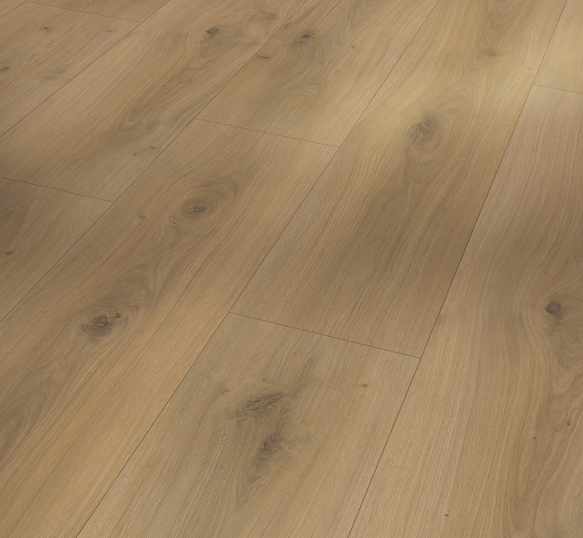 Parador Basic 600 XS Eiken Horizont Natuur