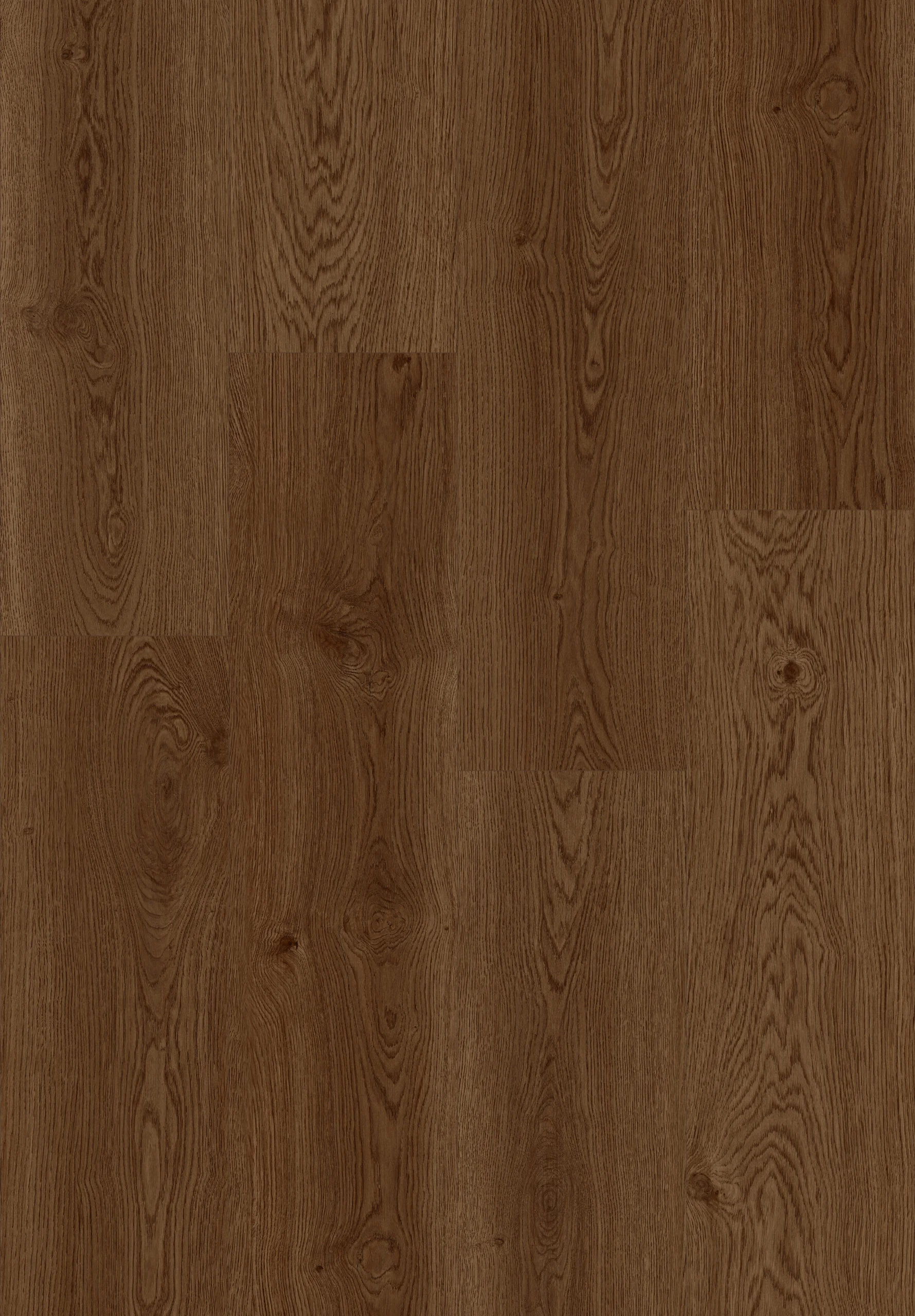 Hoomline Elegance Pauw 51312