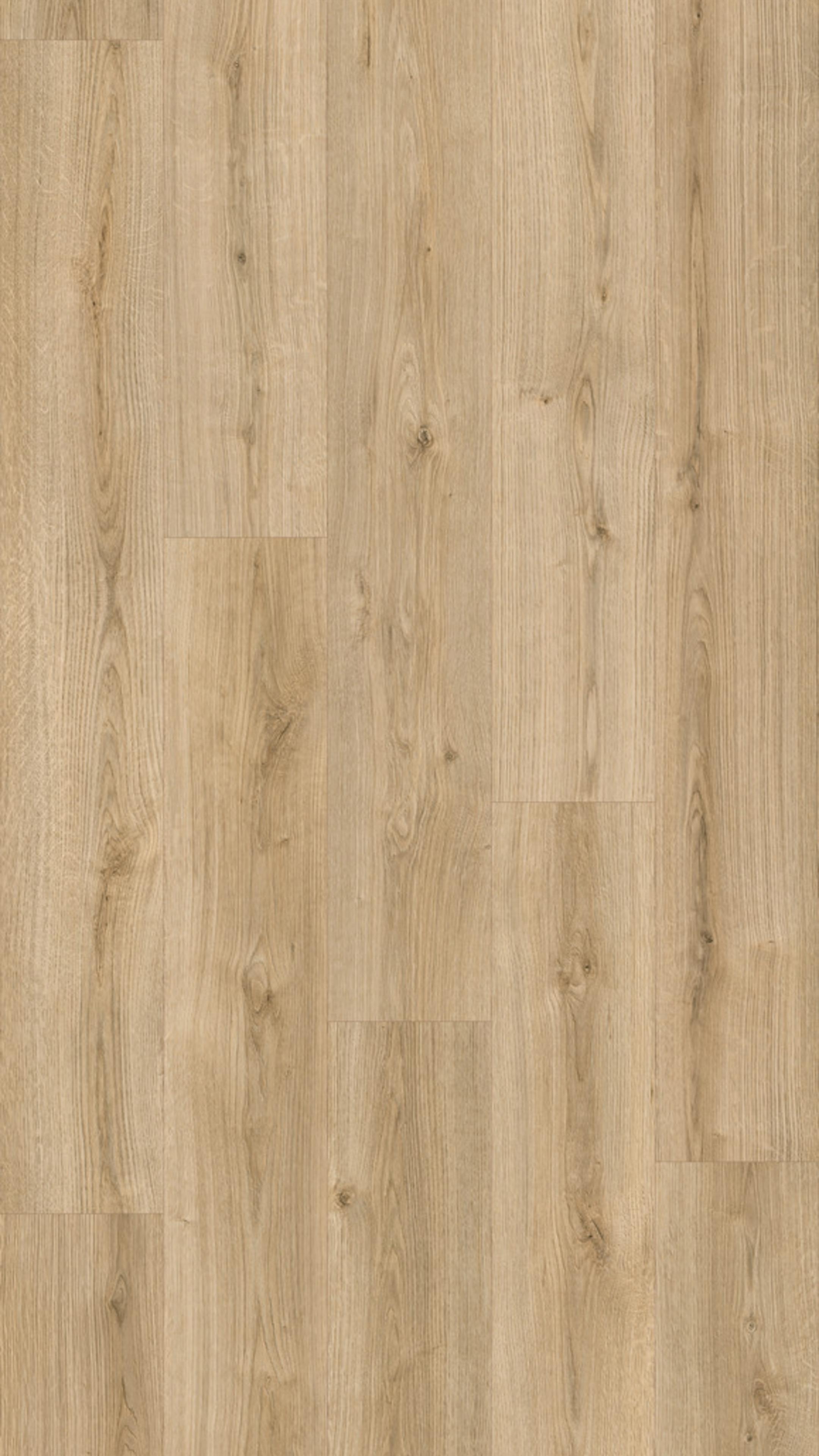 Budget Line Laminaat XL Teide Oak 4519