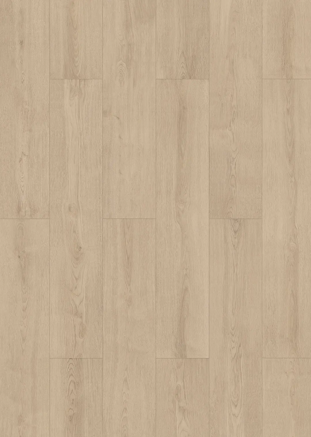 houten vloer, laminaat, plank, neutraal, patroon
