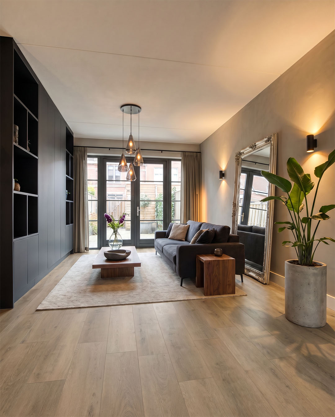 living room, sofa, coffee table, rug, plant
