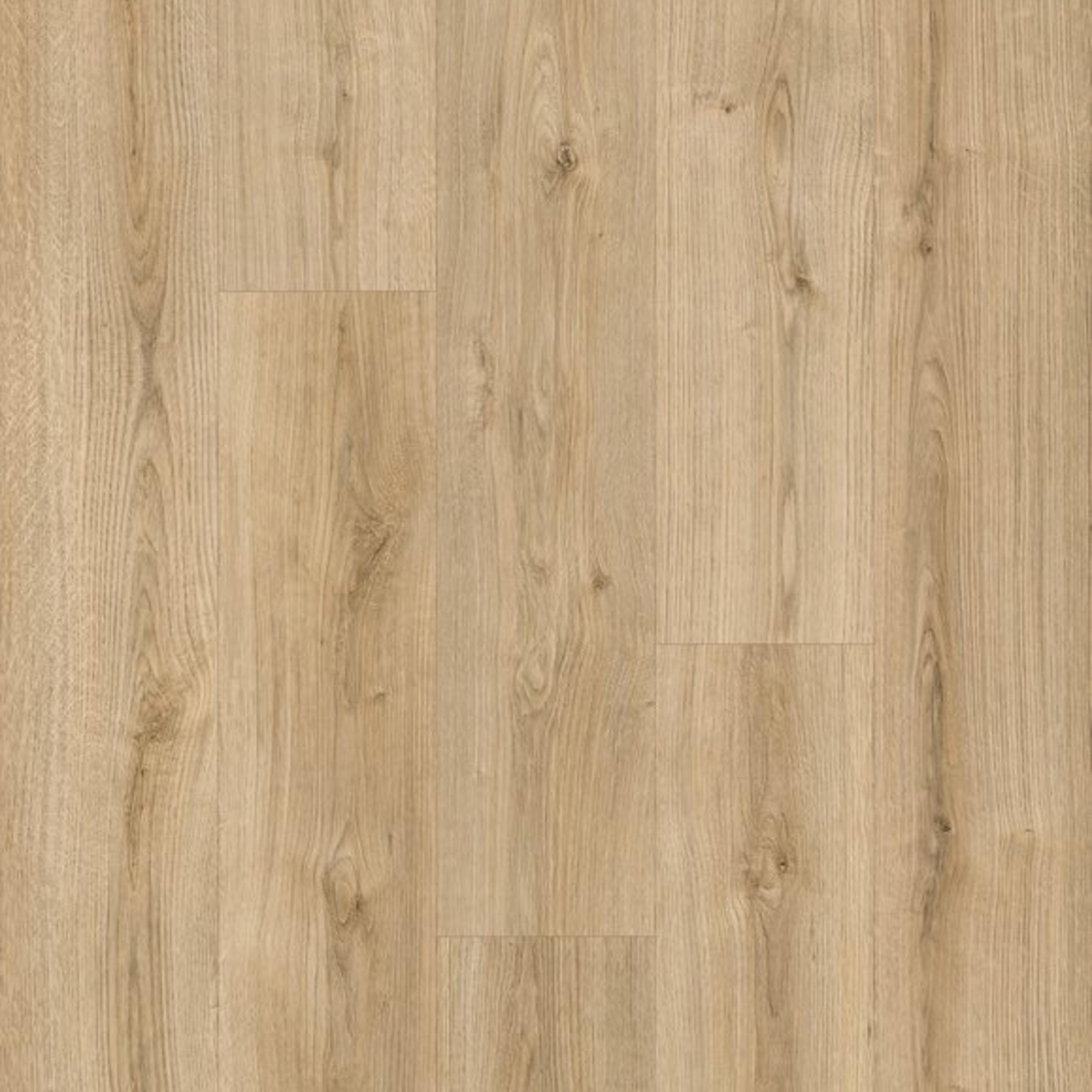 Budget Line Laminaat XL Teide Oak 4519