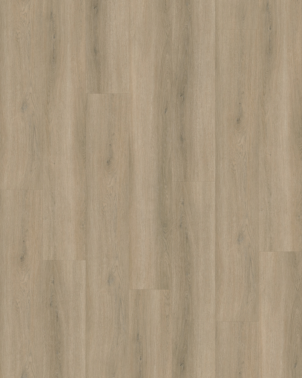 Budget Line Superior Eiken XL 4146 Larisa Oak