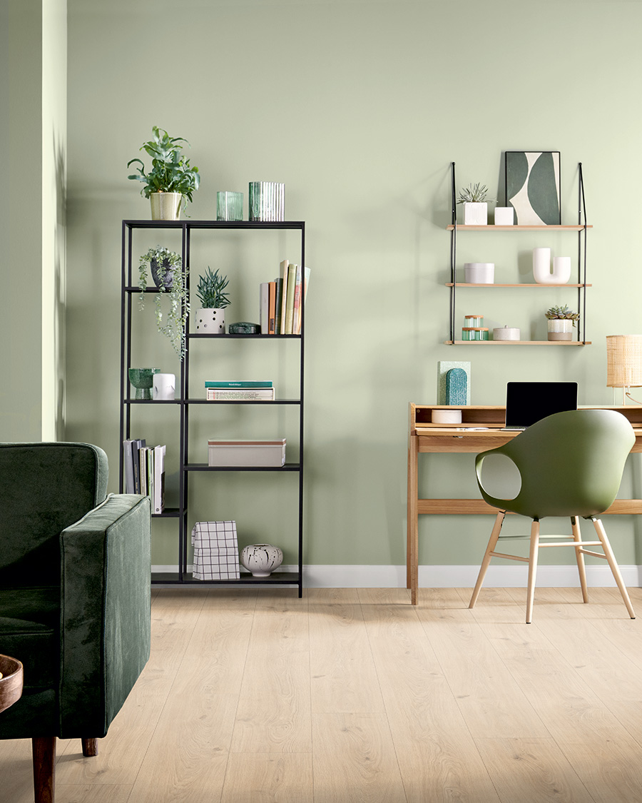 Meubels, Plant, Boekenkast, Woonkamer, Stoel
