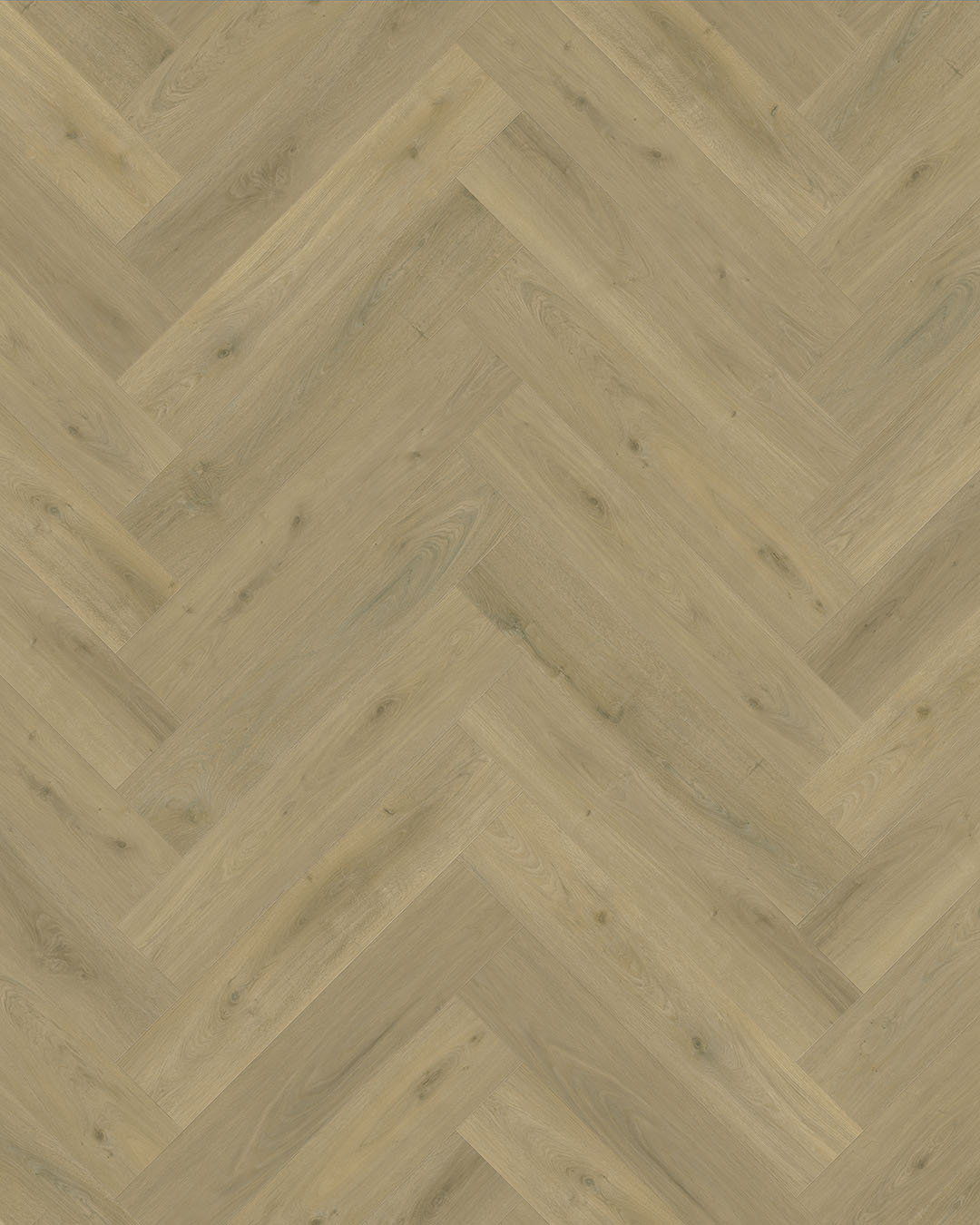 vloer, hout, patroon, herringbone, laminaat
