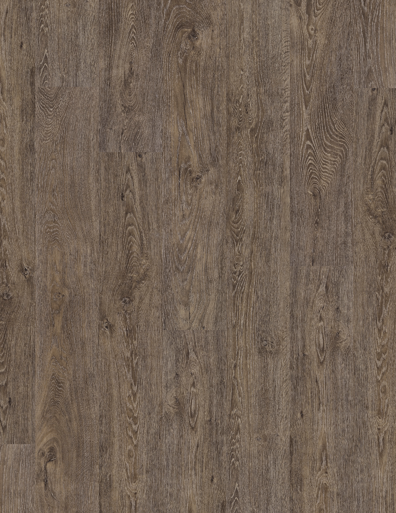 COREtec Essentials 1500 Series Jasper Oak 01