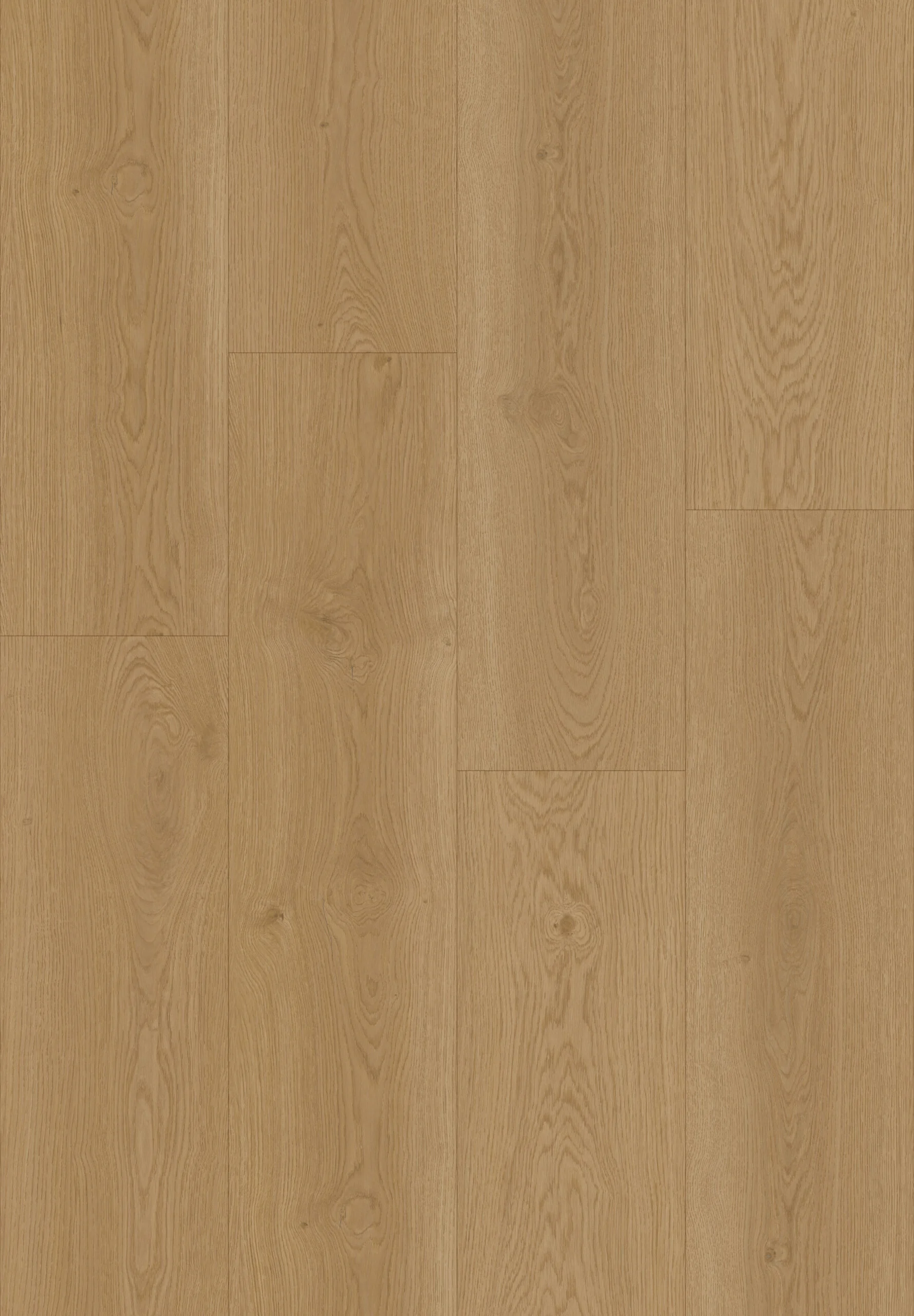 Hoomline Elegance Ooievaar 51316
