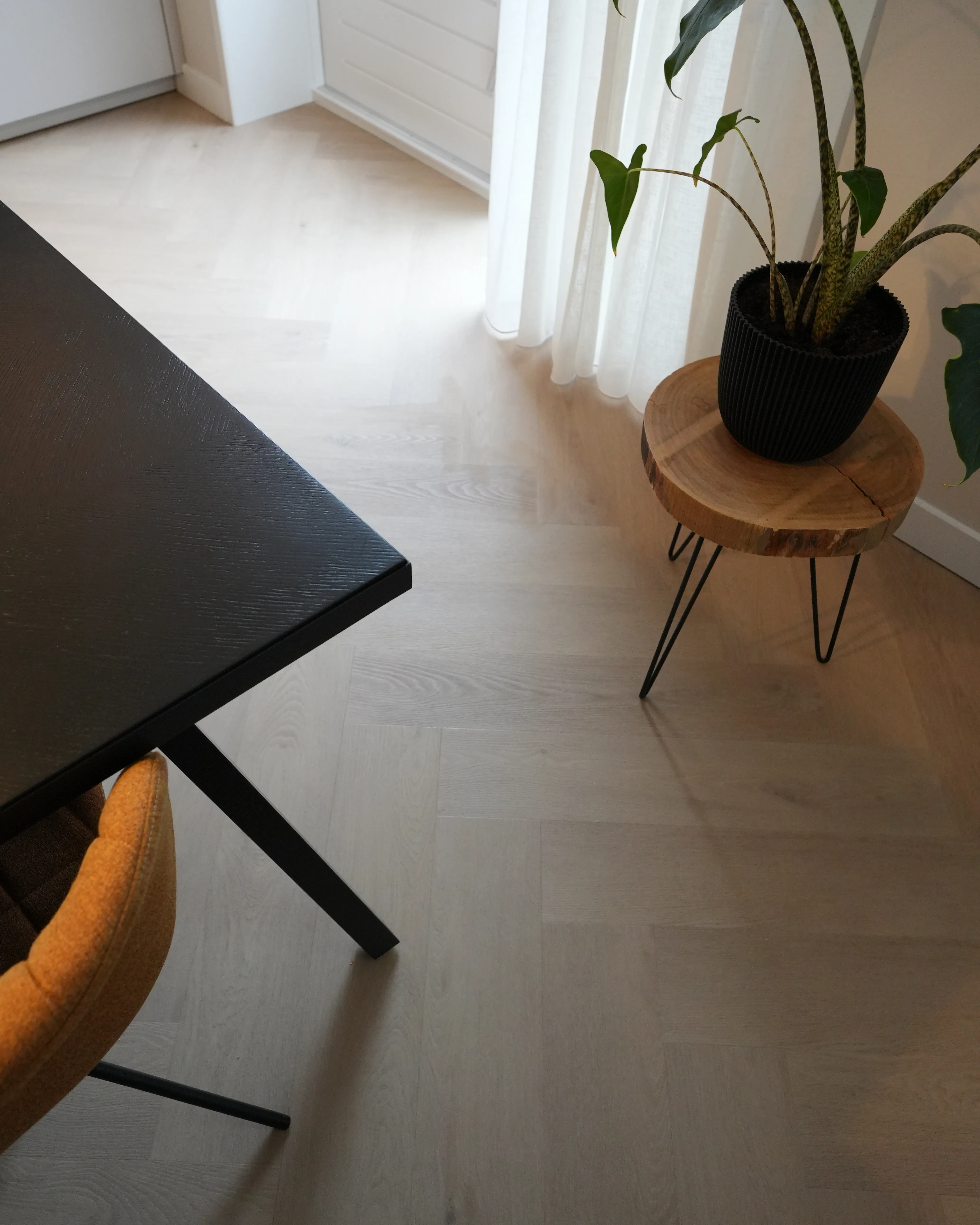 Belakos Palazzo Visgraat XL 74