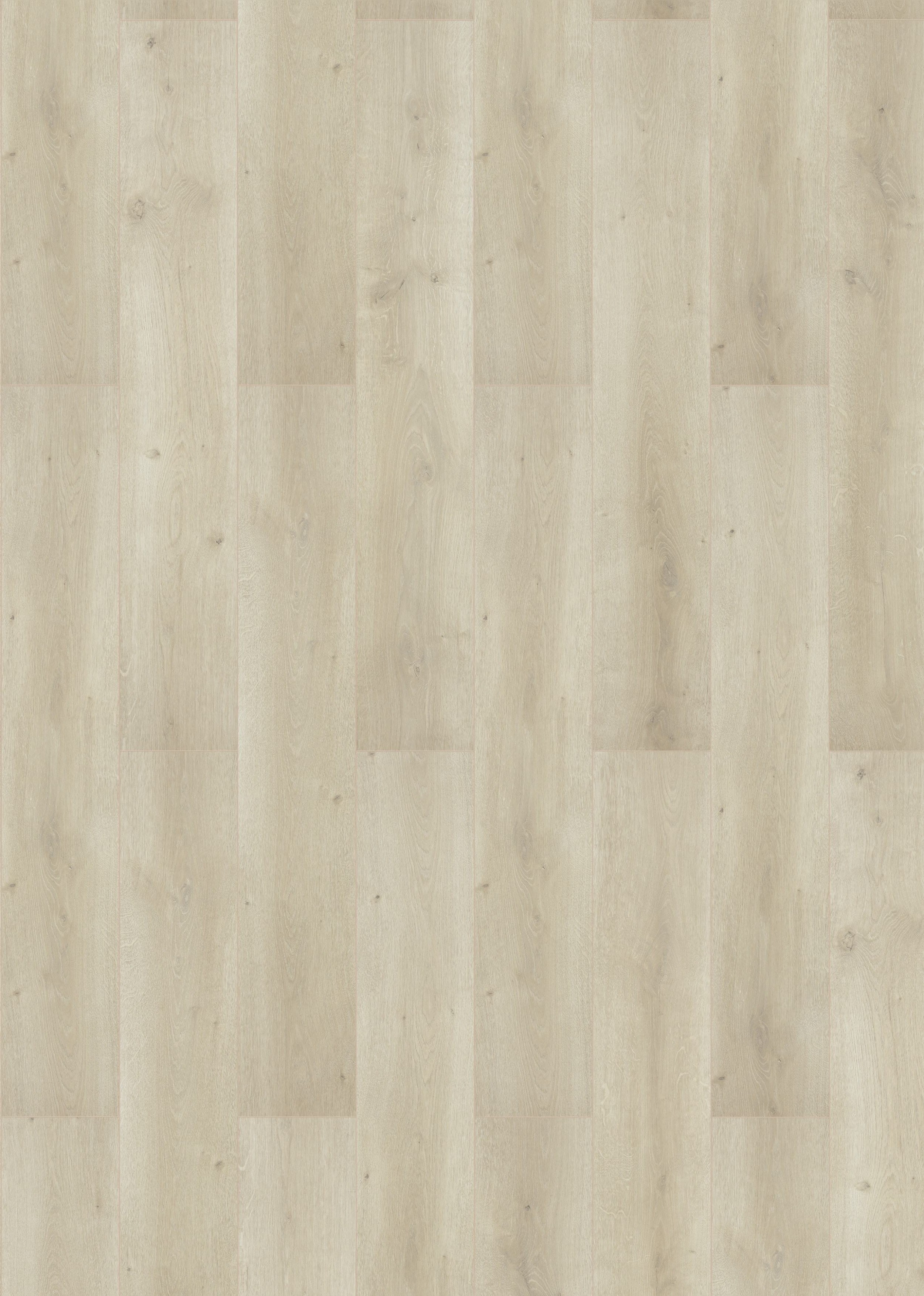 Classen Oak Creme Natural 52355 