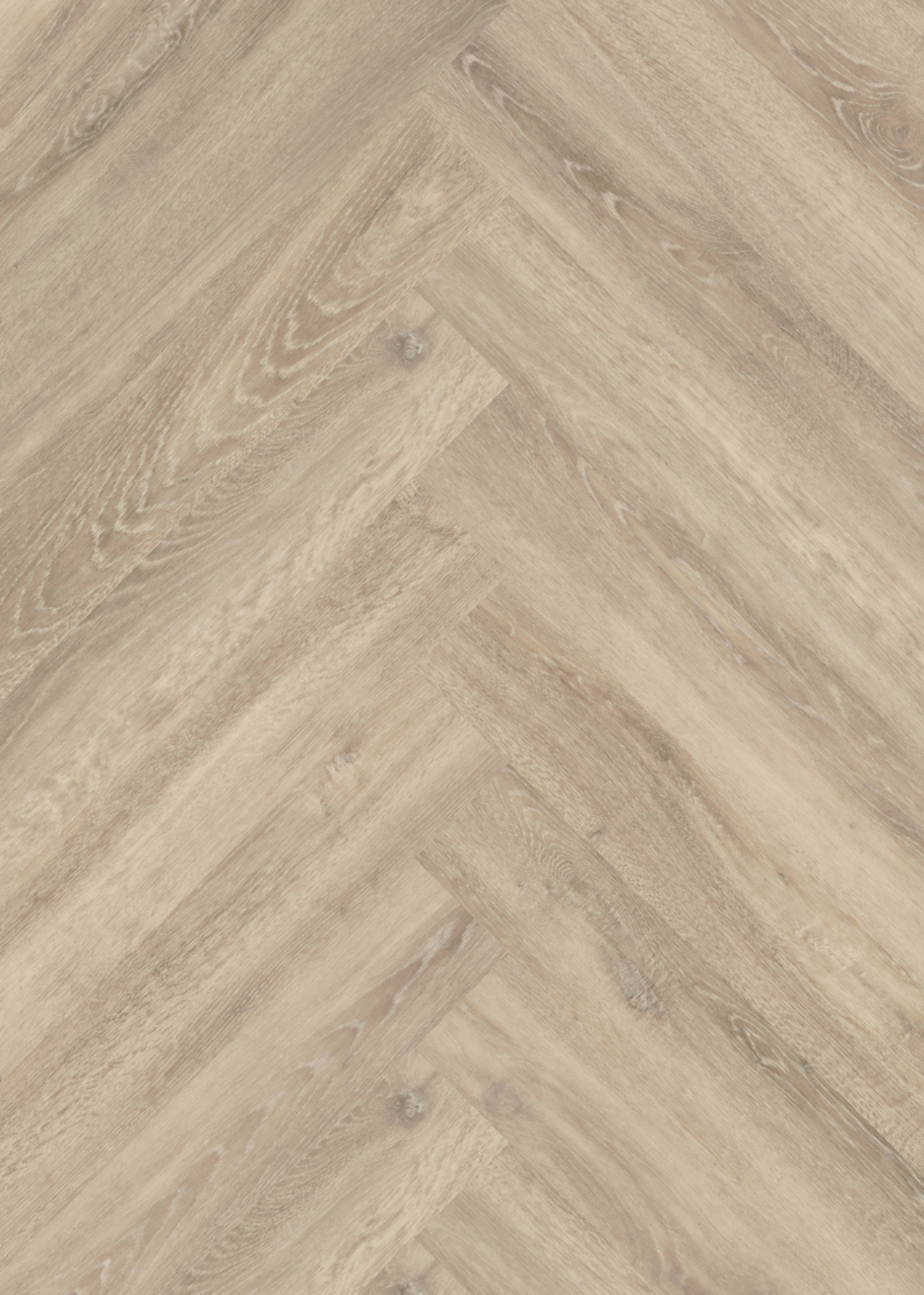 mFLOR Parva Oak 41219 Sardinia