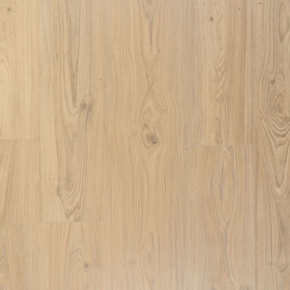 Douwes Dekker Ambitieus Riante Plank Click PVC 07813 Créme Brûlée