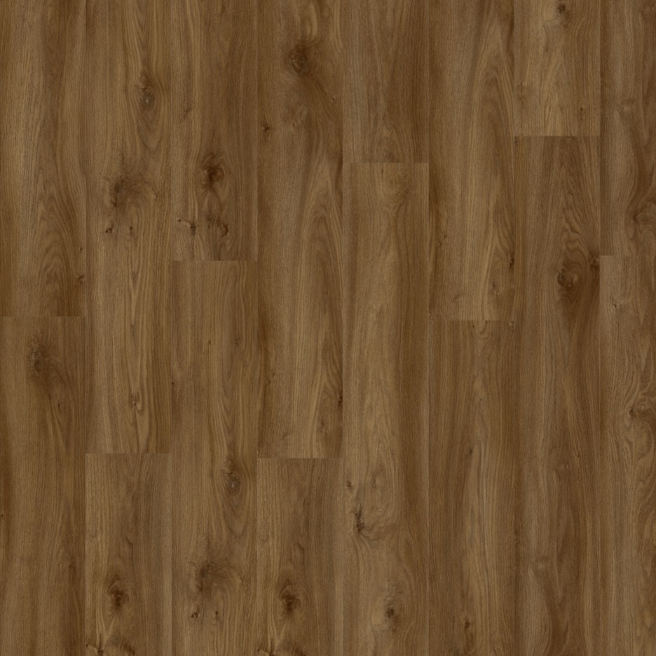 Moduleo Roots Sierra Oak 58876Q