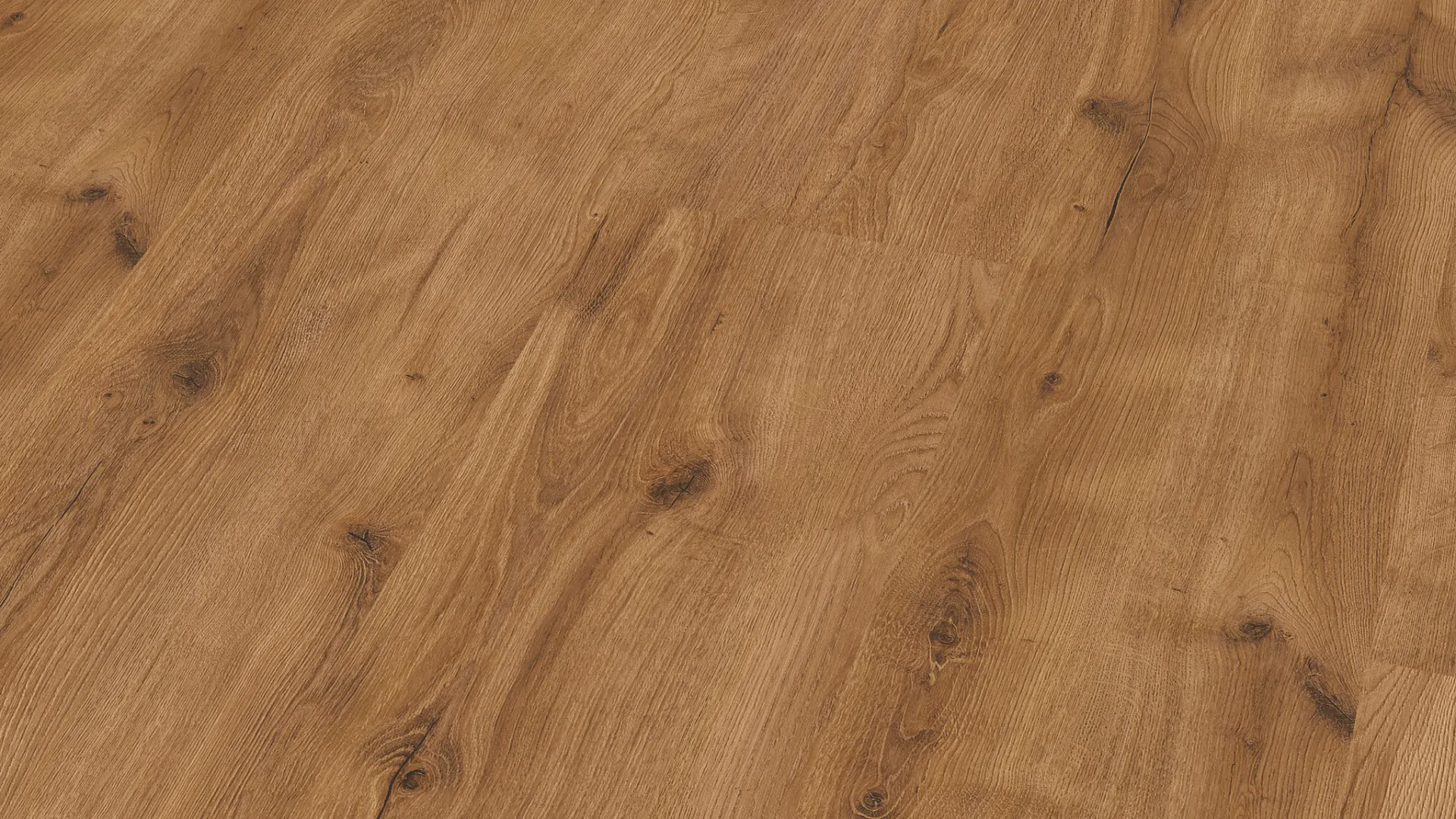 Classen Vito Oak XL 66976