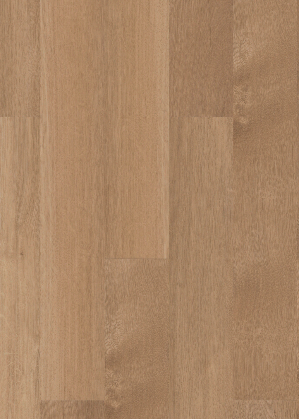 mFLOR Broad Leaf 41822 Pure Sycamore