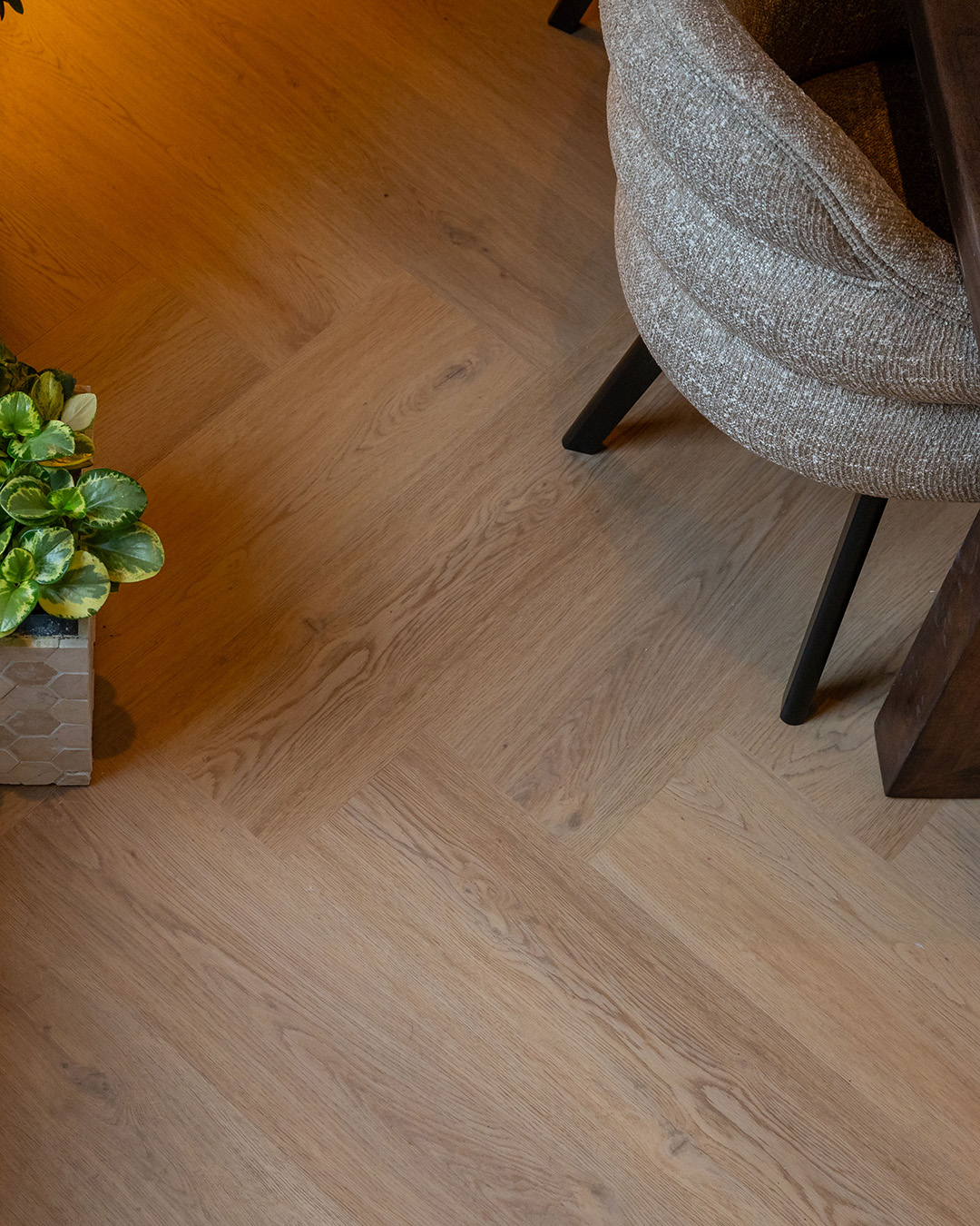 vloer, houten vloer, planten, meubilair, stoel